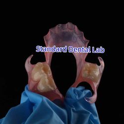 Standard Dental Lab Co., Limited निर्माता उत्पादन लाइन
