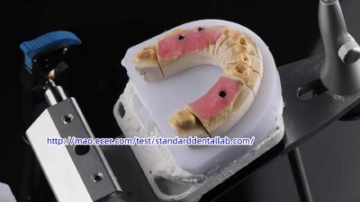Standard Dental Lab Co., Limited निर्माता उत्पादन लाइन