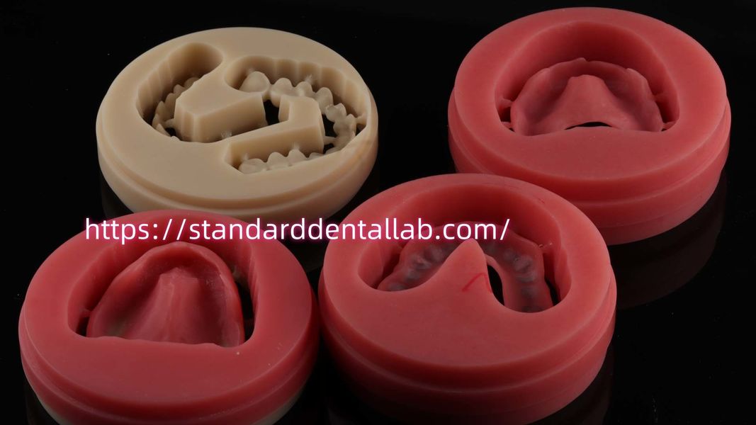 Standard Dental Lab Co., Limited निर्माता उत्पादन लाइन