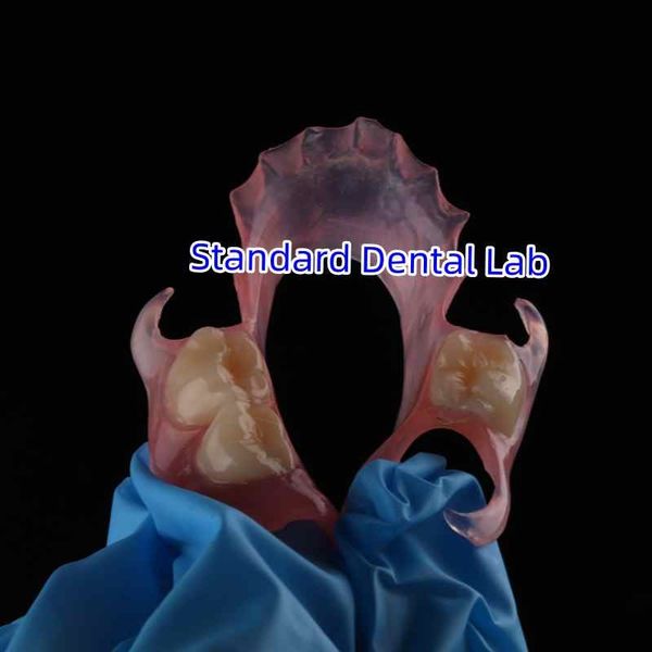 Standard Dental Lab Co., Limited निर्माता उत्पादन लाइन