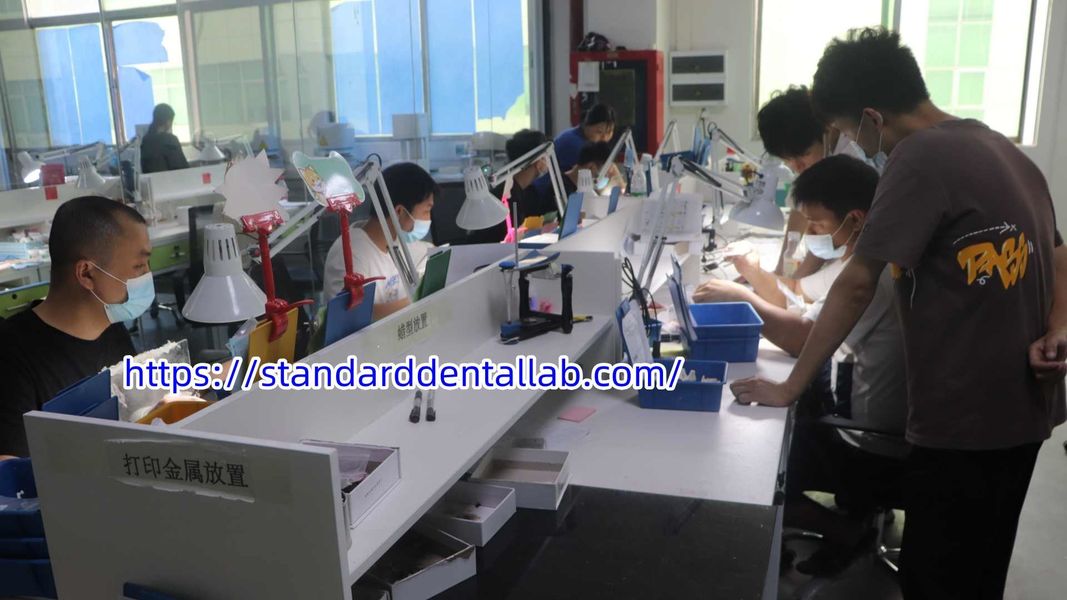 Standard Dental Lab Co., Limited निर्माता उत्पादन लाइन