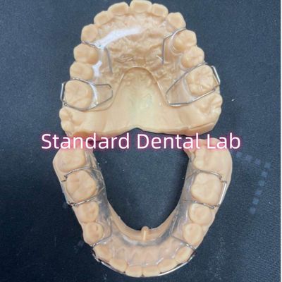 पेशेवर ऑर्थोडॉन्टिक रिटेनर ऐक्रेलिक डेंटल हॉली रिटेनर एडम क्लैप्स