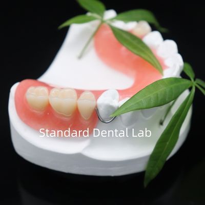 उच्च सौंदर्यशास्त्र दंतस्पली ल्यूसिटोन 199 ऐक्रेलिक दांत दांतों के लिए ऐक्रेलिक राल