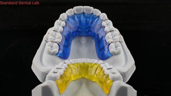 आरामदायक स्टेनलेस स्टील एक्रिलिक हॉली रिटेनर प्रभावी Orthodontics उपकरण