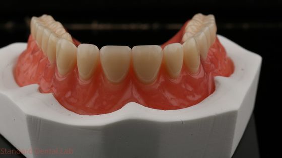 Dentsply Lucitone 199 फुल आर्क प्राकृतिक दिखने के लिए एक्रिलिक प्रोटेक्ट