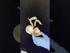 Dentsply Lucitone 199 फुल आर्क प्राकृतिक दिखने के लिए एक्रिलिक प्रोटेक्ट