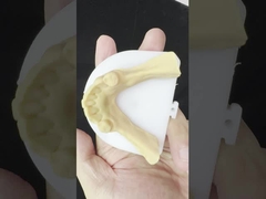 धातु मिश्र धातु आंशिक कोबाल्ट क्रोम दांत Ivoclar Scheftner आरामदायक धातु फ्रेमवर्क