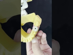 पोर्सिलेन ऑल ऑन फोर जिरकोनिया ब्रिज उच्च सौंदर्य सौंदर्य दांत प्रत्यारोपण ब्रिज पेंच बरकरार